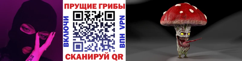 где можно купить наркотик  Цимлянск  Псилоцибиновые грибы мицелий 